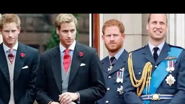 La rupture de William et Harry "plantée dans l'enfance" comme "l'héritier et la dynamique de rechang