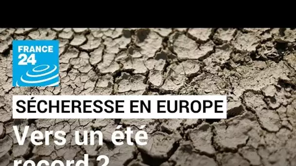 Chaleur, sécheresse : vers un été record en France et en Europe ? • FRANCE 24