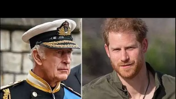 Le prince Harry pourrait résoudre le dilemme du « mal du pays » en obtenant une « solution britanniq