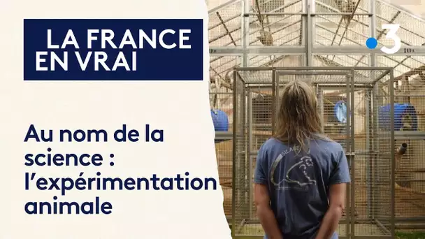 Au nom de la science, un laboratoire qui gère des animaux destinés à l'expérimentation