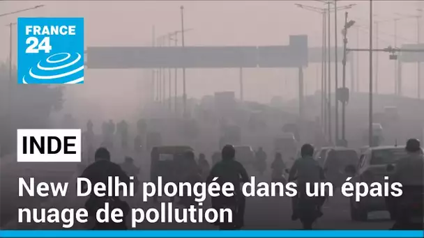 Inde : New Delhi se retrouve plongée dans un épais nuage de pollution • FRANCE 24