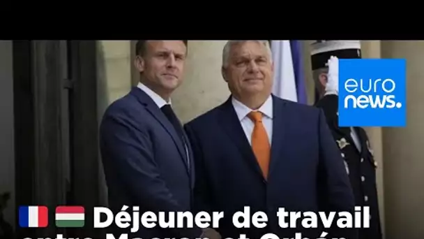 Déjeuner de travail entre Macron et Orbán avant la présidence hongroise du Conseil de l'UE