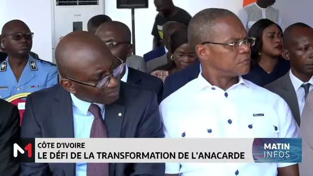 Côte d’Ivoire: Le défi de la transformation de l´anacarde