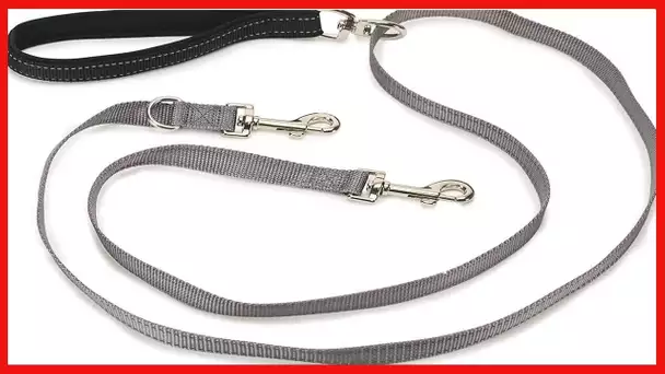 PetSafe Two Point Control Leash, Padded and Reflective Nylon Leash Converts to Single Leash