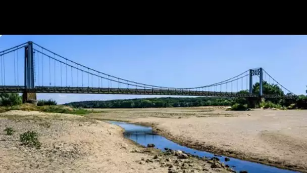 Sécheresse : «Je n'ai jamais vu la Loire aussi basse», à Orléans, le fleuve se traverse à pied