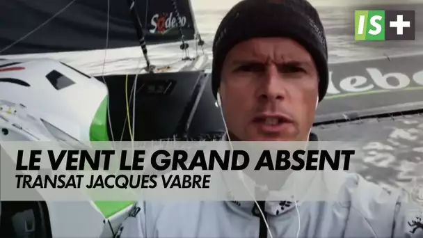 On fait le point sur la Transat