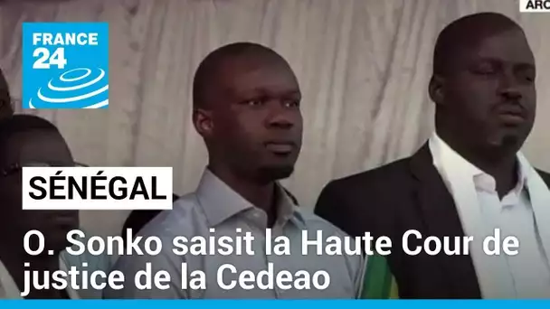 Sénégal : Ousmane Sonko saisit la Haute Cour de justice de la Cedeao • FRANCE 24