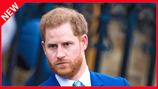 ✅  “Un crétin fini” : le prince Harry mis en pièces par un ancien camarade militaire