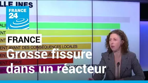 Grosse fissure dans un réacteur : EDF sommé de "réviser sa stratégie" • FRANCE 24