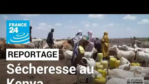 Sécheresse en Afrique de l'Est : au Kenya, le comté d'Isiolo sans pluie depuis deux ans