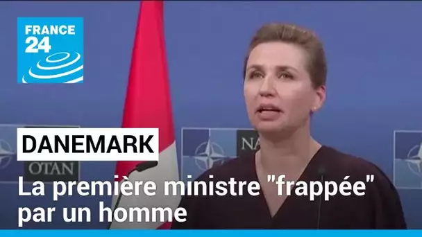 La première ministre danoise Mette Frederiksen "frappée" par un homme • FRANCE 24