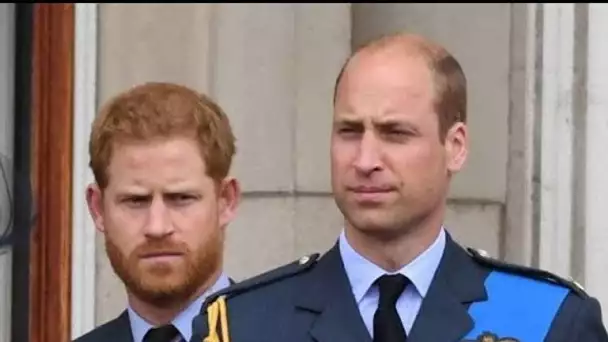 "Une insulte" : non, le prince William ne se sent pas "piégé" - sa réponse à Harry !