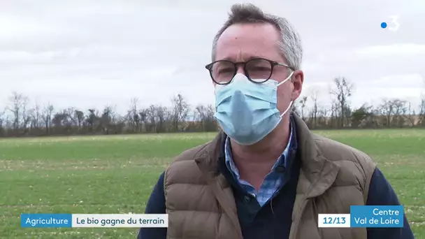 Agriculture : les parcelles d'agriculture biologique ont presque doublé dans l'Indre