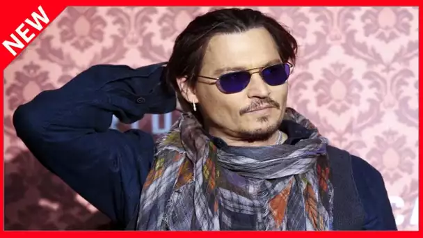 ✅  Johnny Depp « mari violent » : un juge refuse sa demande d'appel