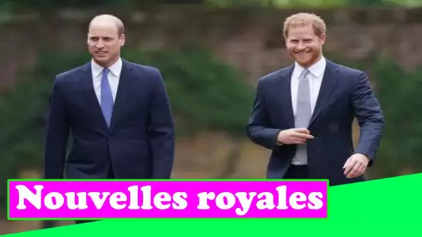 Commentaire adorable du prince Harry après avoir vu la statue de Diana pour la première fois, selon