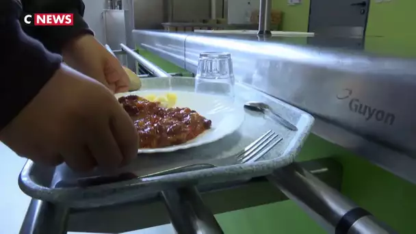 Le menu végétarien fait son apparition dans les cantines scolaires