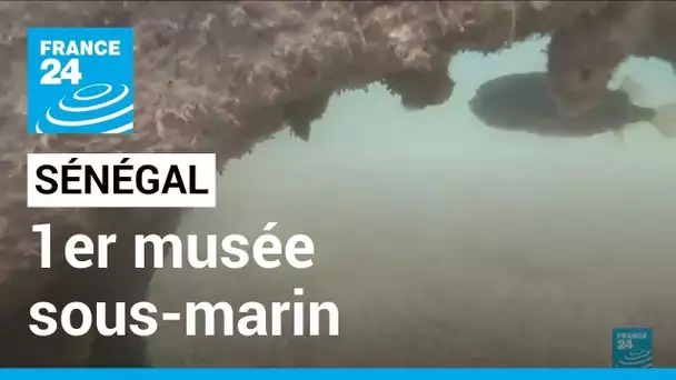 Sénégal : le premier musée sous-marin d'Afrique de l'Ouest • FRANCE 24