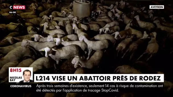 L214 vise un abattoir près de Rodez