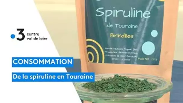 La Riche : production de spiruline fabriquée en Touraine