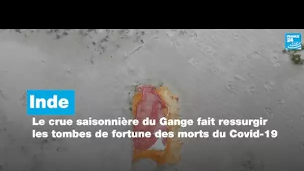 Inde : la crue saisonnière du Gange fait ressurgir les tombes de fortune des morts du Covid-19