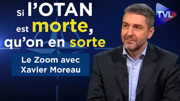 "Si l'OTAN est en mort cérébrale, qu'on en sorte !" - Le Zoom - Xavier Moreau