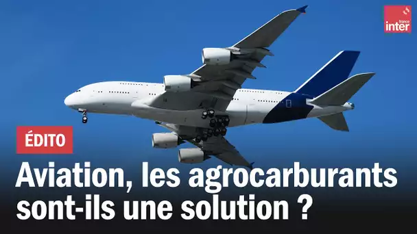 Aviation : les agrocarburants sont-ils une vraie bonne solution ?