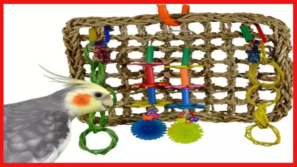 Super Bird Creations SB741 Seagrass Mini Activity Wall Bird Toy, Medium Bird Size, 9” x 7” x 2”