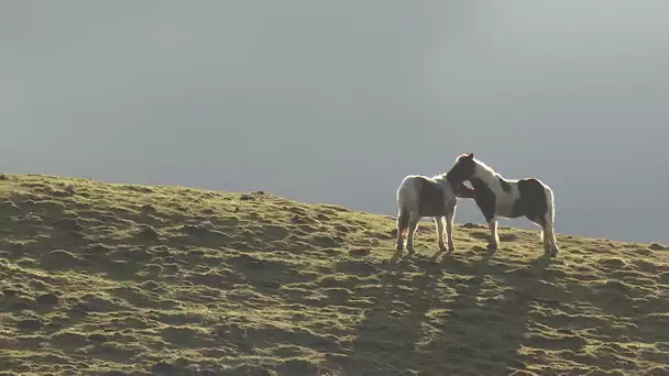 Prendre l'air sur les sommets du Pays basque