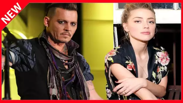 ✅  Un test ADN pour les yorkshires : jusqu’où ira la guerre Johnny Depp vs Amber Heard ?