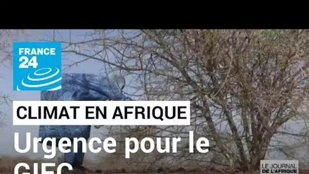 Climat en Afrique : le besoin de garantie des financements verts au Niger • FRANCE 24