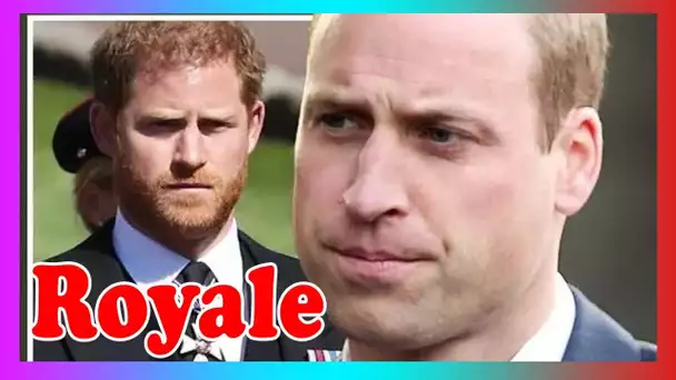 Le prince Harry ''snobé'' pour tent3r de ''renouer'' avec William: ''Il ne l'avait pas''