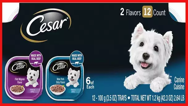 CESAR Adult Soft Wet Dog Food Filets in Gravy Variety Pack, Filet Mignon and New York Strip Flavors