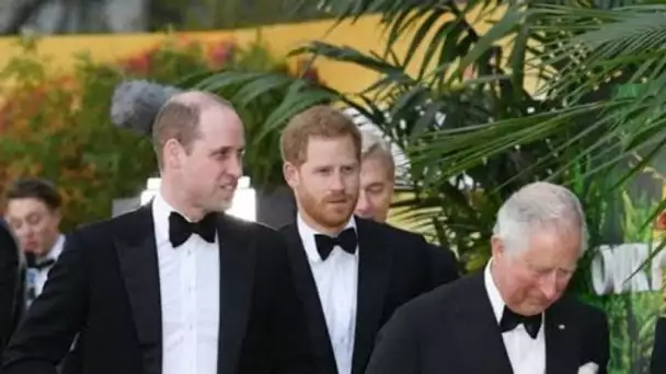 PHOTO #8211; Le prince Charles rend hommage à tous les pères, dont Harry et William