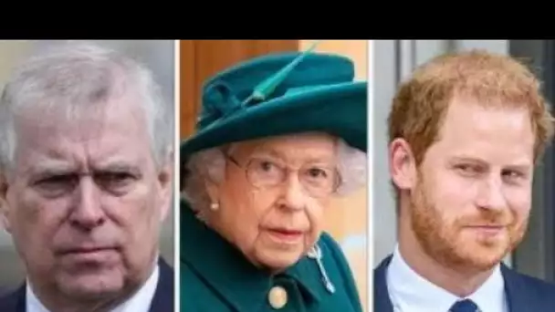 Je ne veux pas pousser l'ours» La reine est invitée à retirer le prince Harry et Andrew en tant qu