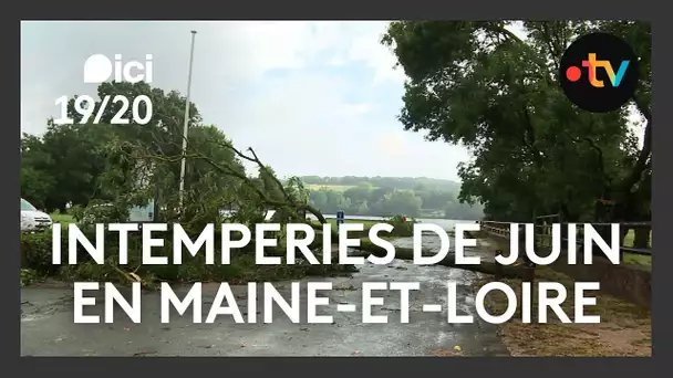 Orages en Maine-et-Loire: arbres tombés, rues inondées dans le Saumurois