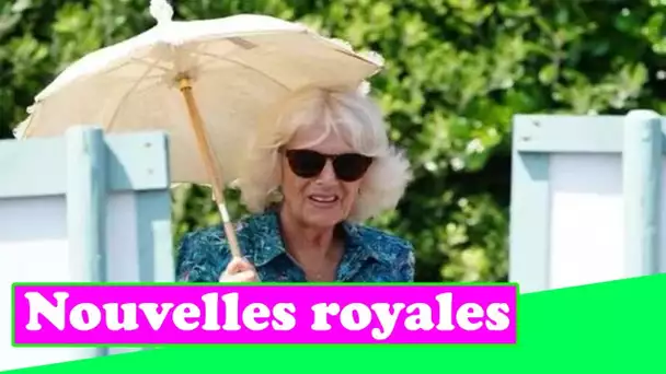 "Un grand atout pour la famille" Camilla saluée par les fans royaux après un appel sincère