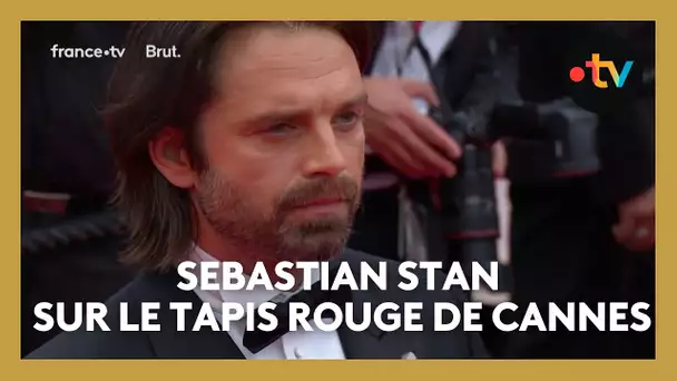 #Cannes2024 : Sebastian Stan sur le tapis rouge pour le film sur Donald Trump « The Apprentice »