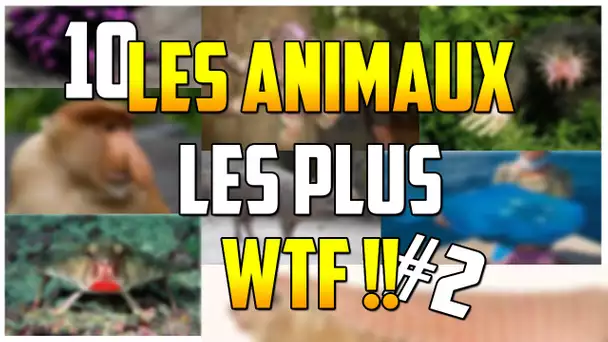 LES 10 ANIMAUX LES PLUS WTF !! #2