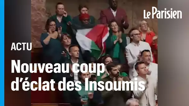 Un drapeau palestinien brandi une nouvelle fois dans l’hémicycle