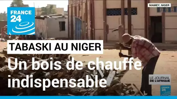 Tabaski au Niger : la surconsommation du bois répétée • FRANCE 24