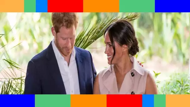 « Au delà d'écœurant »  Harry et Meghan atomisés après leur attaque à Elizabeth II