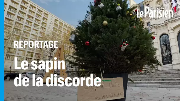 Paris : la mairie écolo du 12e refuse d’installer un «vrai» sapin, les riverains en apportent u