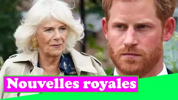 Avertissement du prince Harry: l'attaque de Duke contre Camilla serait "très dommageable" pour le pr