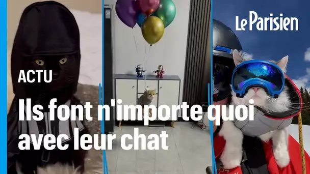 Pour un like, certains vont beaucoup trop loin avec leur chat sur Instagram et TikTok