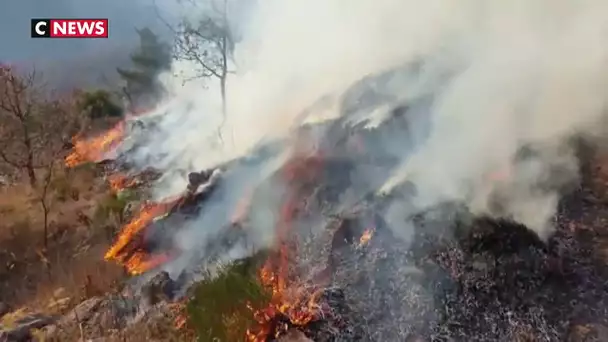 Incendies, tornades...les vents violents de la tempête Ciara appellent à la vigilance