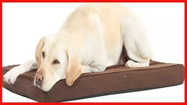 Barkbox Memory Foam Platform Dog Bed | Plush Mattress for Orthopedic Joint Relief (Large, Espresso)