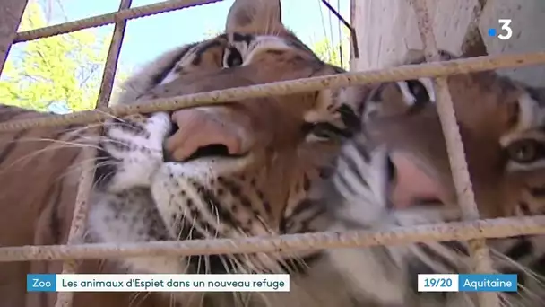 Vaste opération de sauvetage d'animaux sauvages chez un particulier