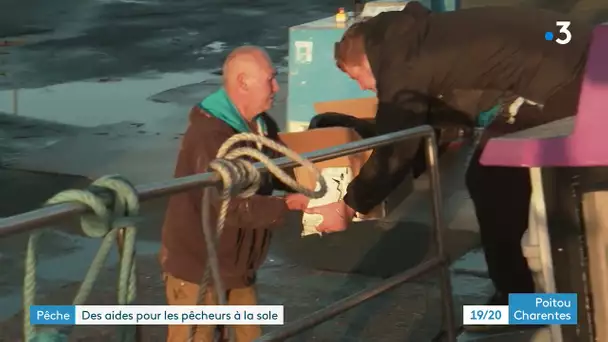 Pêche : des aides pour les pêcheurs à la sole