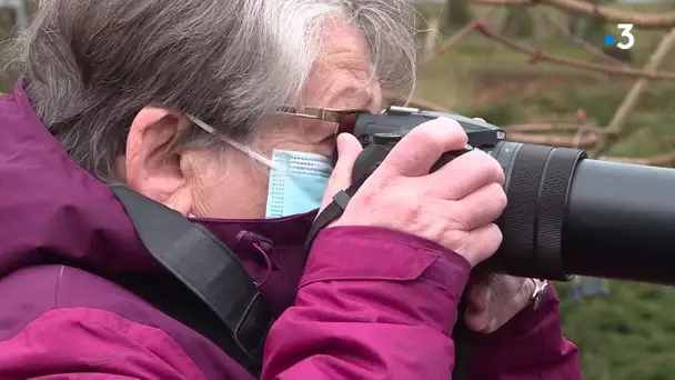 Haute-Vienne : retour sur la 9e édition du comptage des oiseaux des jardins