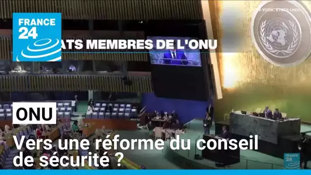 Demande de réforme du conseil de sécurité de l'ONU, jugé non représentatif • FRANCE 24